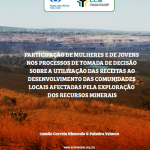 Participacao de Mulheres e de Jovens Nos processos de Tomada de Decisao sobre utilizacao dos 2.75%